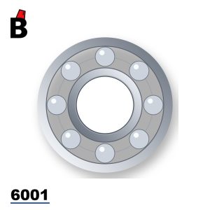 بيلية رولمان رقم 6001