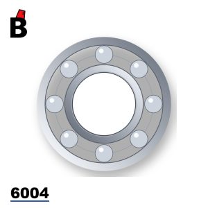 بيلية رولمان رقم 6004